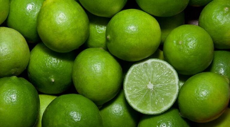 México se consolida como segundo productor y exportador mundial de limones