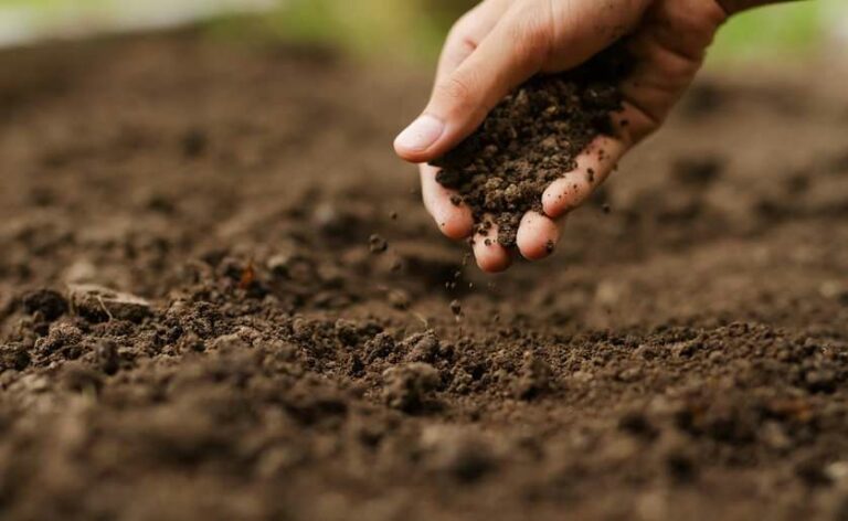 Alianza para prácticas agrícolas sostenibles y mitigación climática en América Latina y El Caribe