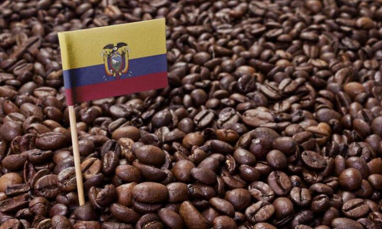 Café ecuatoriano orgánico y libre deforestación conquista los paladares italianos