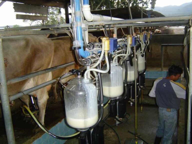 Industriales de leche solicitan reglas justas para el pago de los productores