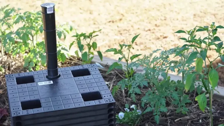 La sequía ya no sería un problema para los agricultores con esta tecnología
