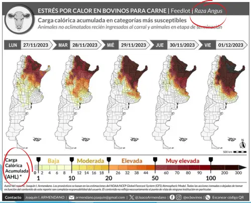 Estrés por calor en bovinos para carne: recomendaciones