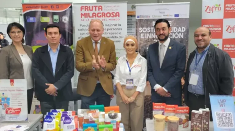 Ecuador tiene 11 clústeres. ¿Para qué sirven estas iniciativas y cómo se financian?