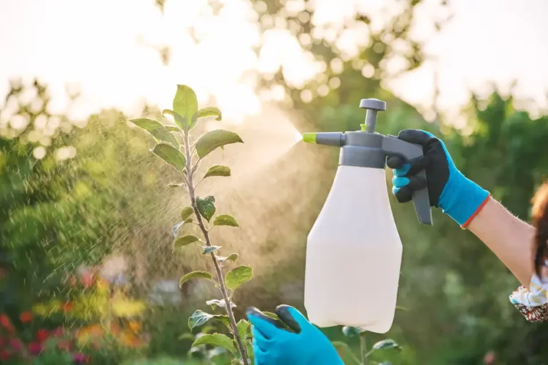 Balanza comercial de fertilizantes fue positiva para Perú en US$ 96 millones entre enero y noviembre de 2023