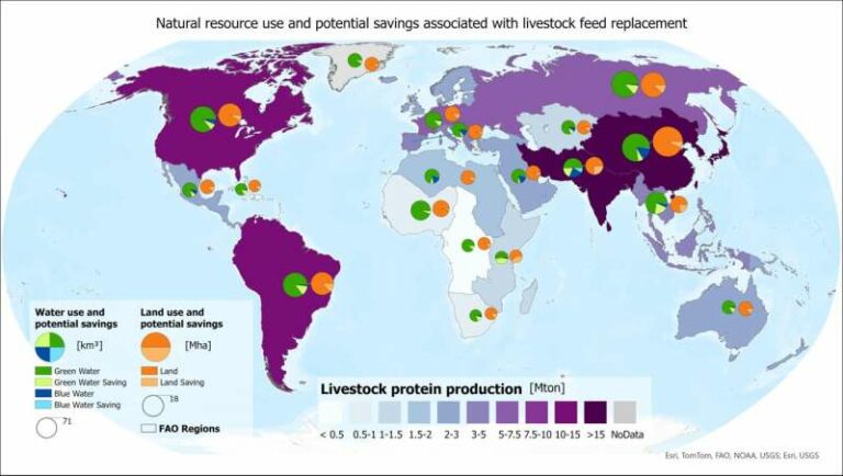 Agricultura: cambiar la alimentación animal reduce el consumo de recursos naturales como el suelo y el agua