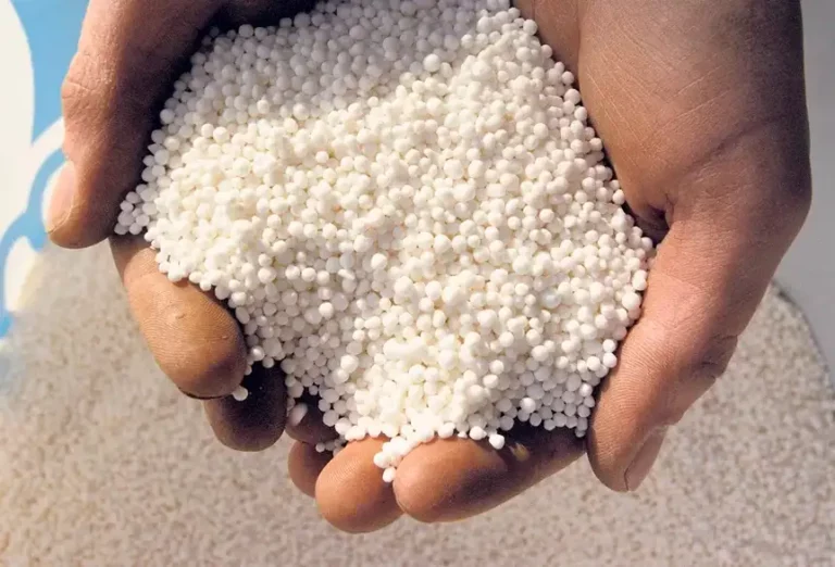 Urea y meleurea: ¿por qué es importante brindarlas a los bovinos?