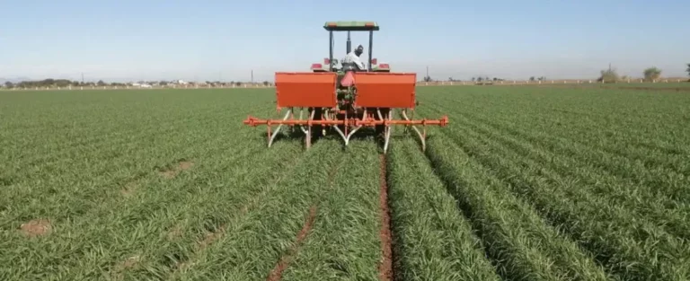 Cómo evitar pérdida en la fertilización de sus cultivos