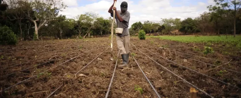 Conozca cómo puede medir el clima en su finca