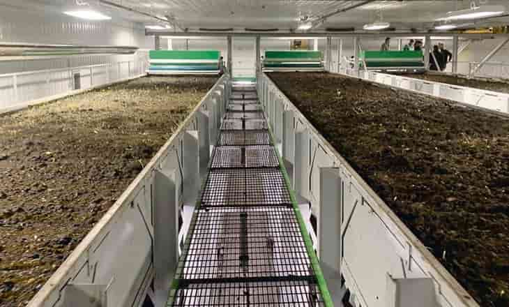 80 millones de lombrices en una granja de lombrices canadiense producen biofertilizantes para el trigo y otros cultivos