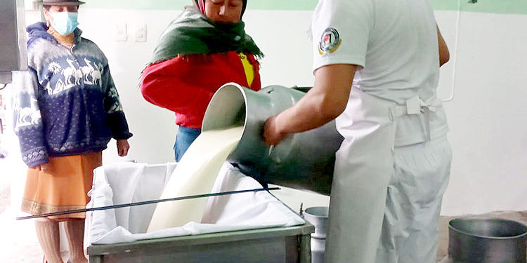 Ganaderos de El Cajas, en Cayambe, apuntan al mejoramiento de la calidad de leche