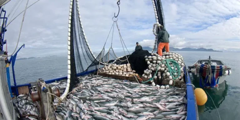 ECUADOR: Asamblea avanza en reformas para pesca e INIAP