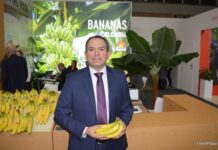 “Es tiempo de que la banana deje de ser la fruta más barata del supermercado”