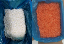 INTERNACIONAL: “La demanda de cebollas y zanahorias congeladas sigue siendo fuerte en los mercados internacionales