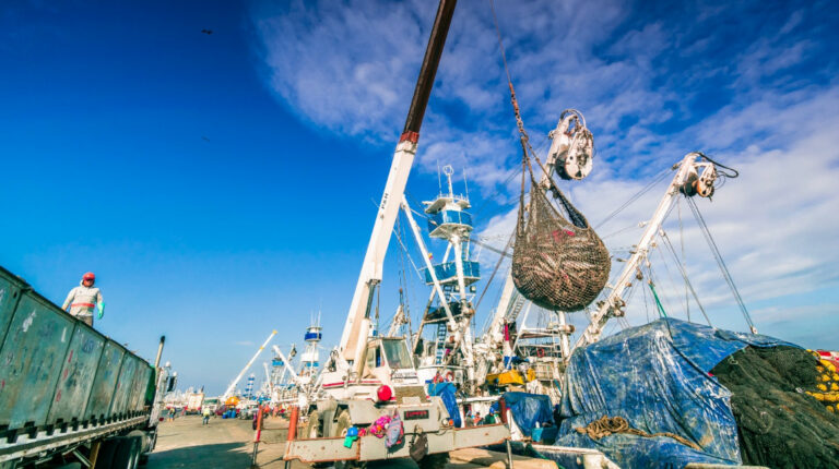 Ampliación del Terminal Pesquero y de Cabotaje de Manta, una deuda pendiente