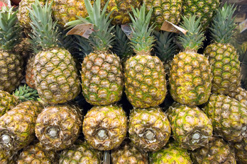 INTERNACIONAL:  La piña peruana llegó a 14 destinos en el primer trimestre