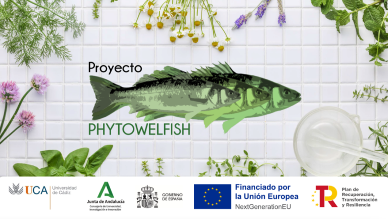 INFORME TECNICO: PHYTOWELFISH estudiará el uso de nutracéuticos fitogénicos en acuicultura para mejorar el bienestar animal y la calidad de la carne