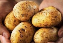 Resumen del mercado global de la papa