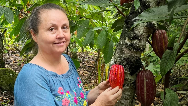 INTERNACIONAL, COLOMBIA: El cacao con denominación especial que exportarán más de 70 mujeres tolimenses