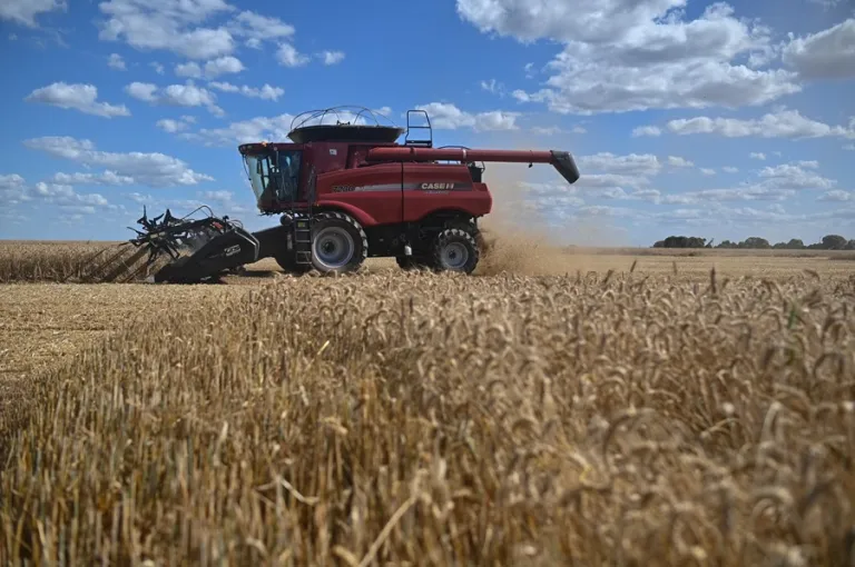 La UE aprueba definitivamente las salvaguardas a agricultores ante el acuerdo con Mercosur