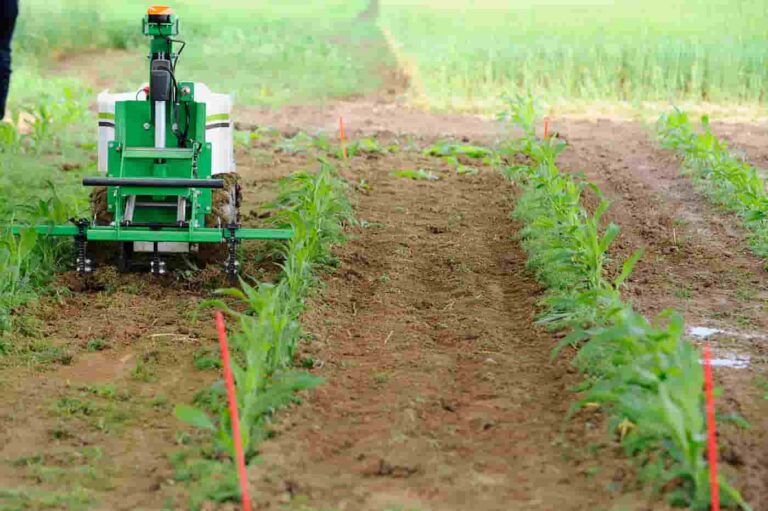 INFORME TÉCNICO: Agricultura digital, de precisión e inteligente, la nueva forma de producir alimentos