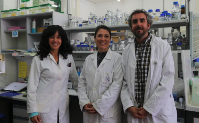 INFORME TÉCNICO: Un consorcio de algas y bacterias aumenta la producción hidrógeno verde y biomasa mientras limpia aguas