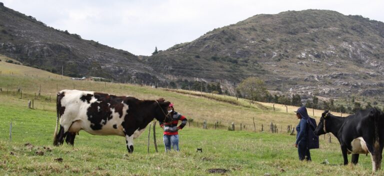 INTERNACIONAL, COLOMBIA: Mediante subastas públicas, el Gobierno busca reducir altos inventarios de leche e impulsar la compra a productores nacionales