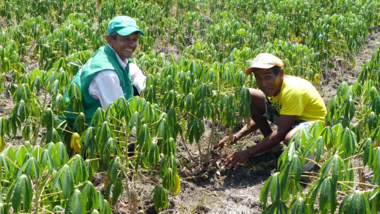 INTERNACIONAL, COLOMBIA: Plataforma revoluciona comercialización de productos locales en la ciénaga de Zapatosa