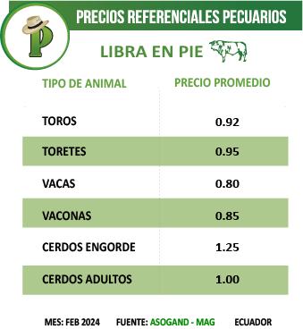 Recurso 1