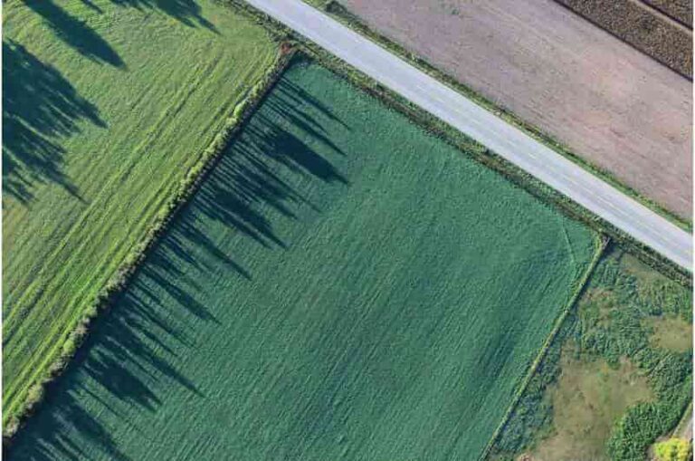INFORME TÉCNICO: Un nuevo modelo de aprendizaje profundo predice con gran precisión las demandas de agua y energía en la agricultura
