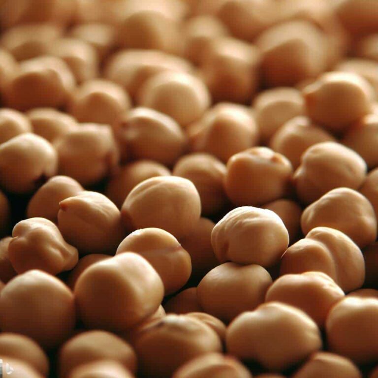 INFORME TÉCNICO:  En México desarrollaron una variedad de garbanzo resistente a la sequía y a la pudrición de la raíz por fusarium