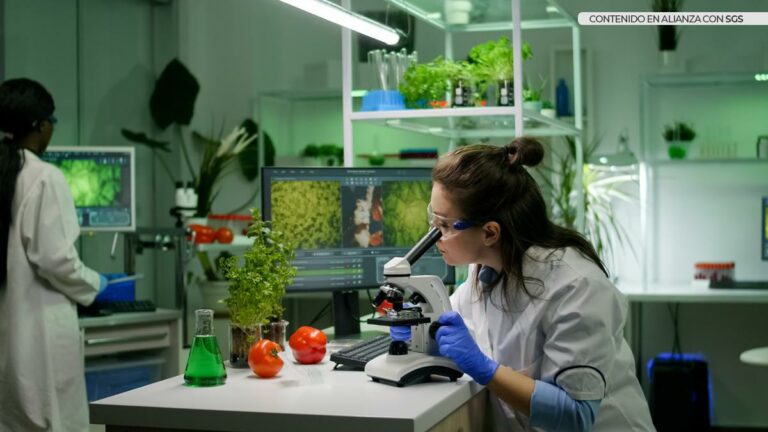 La biotecnología en la agricultura moderna