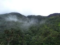 Mecanismo para Bosques y Fincas” Expande su Alcance en Ecuador
