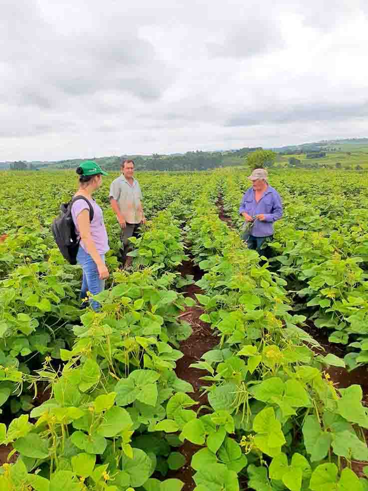 Cultivos asociados: una alternativa para los agricultores
