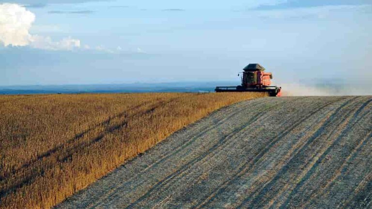 INTERNACIONAL: Las estrategias de diversificación agrícola generan mayores beneficios sociales y ambientales