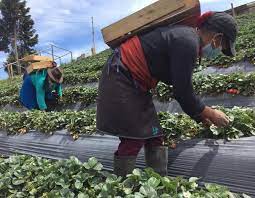 ECUADOR: Asamblea impulsa ley integral para mujeres rurales