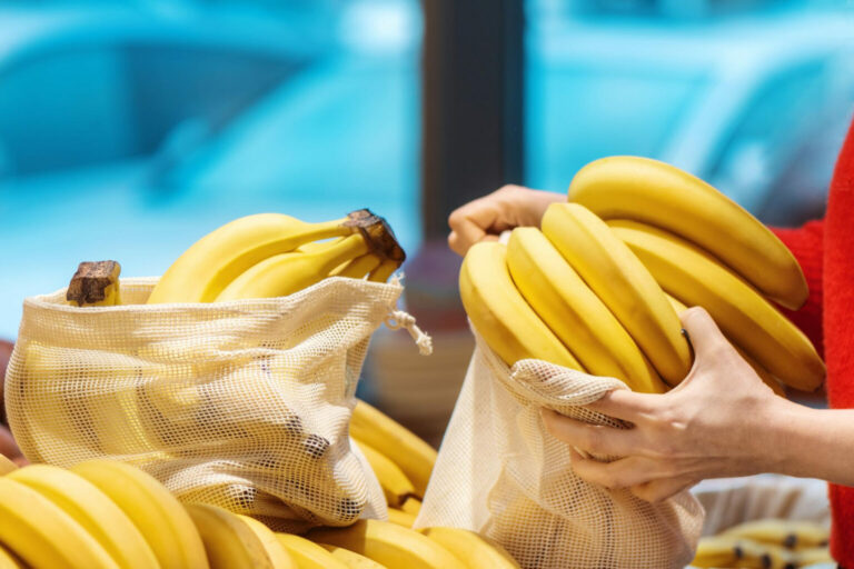 Unión Europea  principal destino de productos orgánicos ecuatorianos