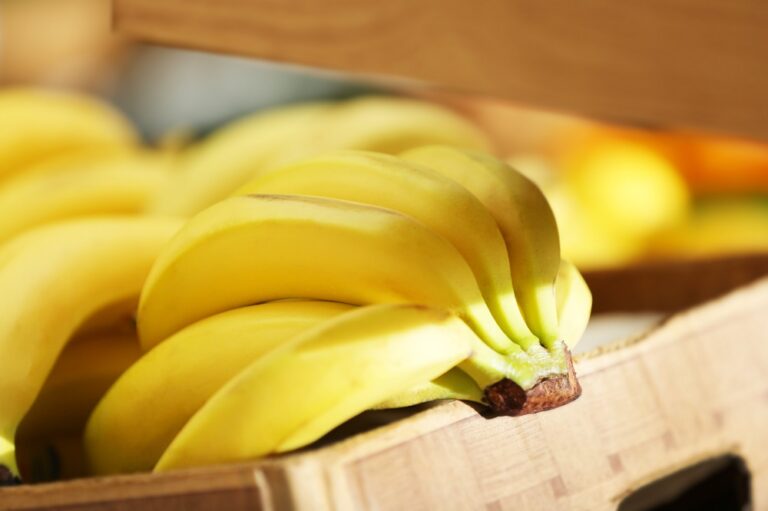 Los precios del banano en Costa Rica bajan un 2%, mientras que Panamá y Guatemala se mantienen estables