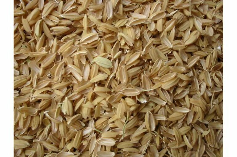 INFORME TÉCNICO: Una investigación sugiere que los residuos agrícolas podrían ayudar a limpiar el agua contaminada