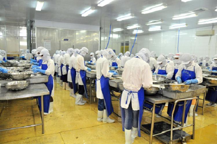 El programa “Fábricas de Calidad” para elevar estándares de competitividad empresarial en Ecuador