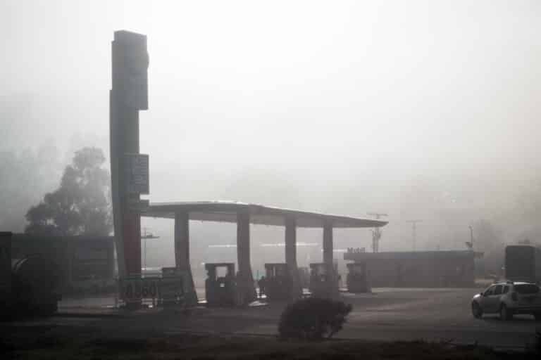 INTERNACIONAL: Cafeína sería útil para obtener combustibles menos contaminantes