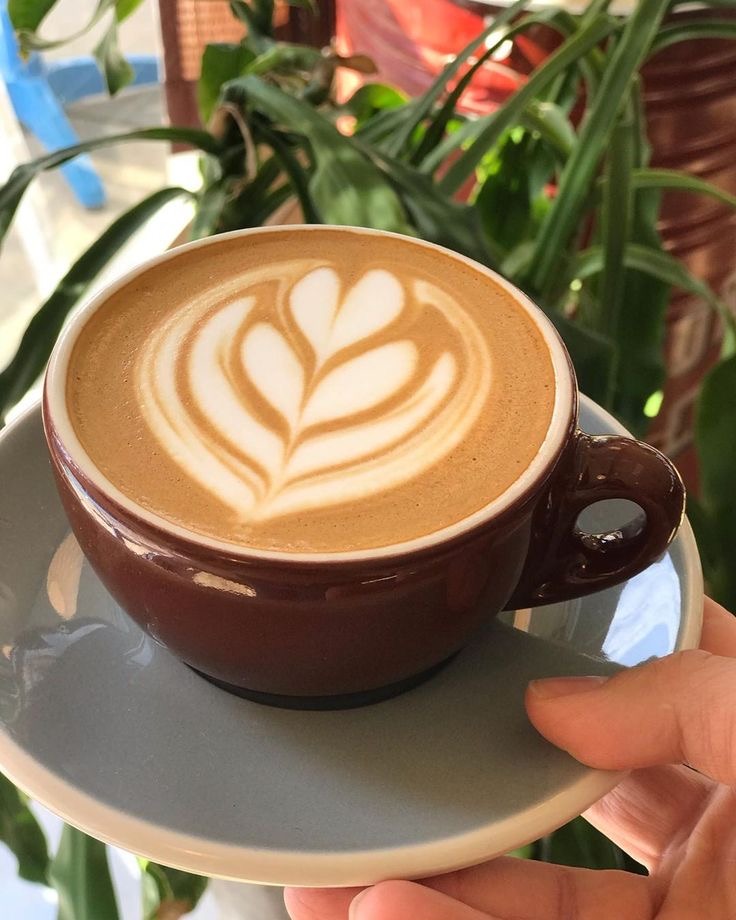 Reino Unido Reconoce Denominaciones de Origen ecuatorianas, entre ellas destaca el café lojano