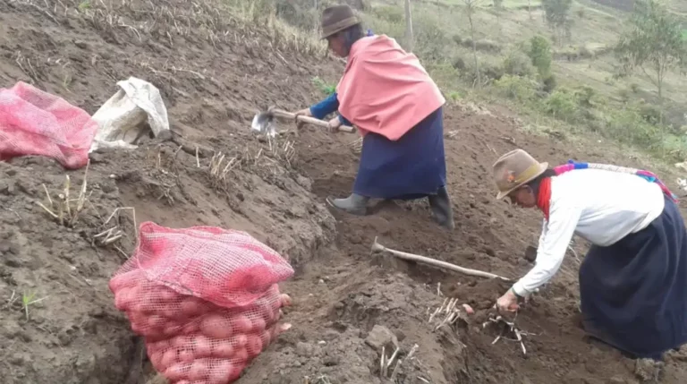 La degradacin del suelo en Chimborazo