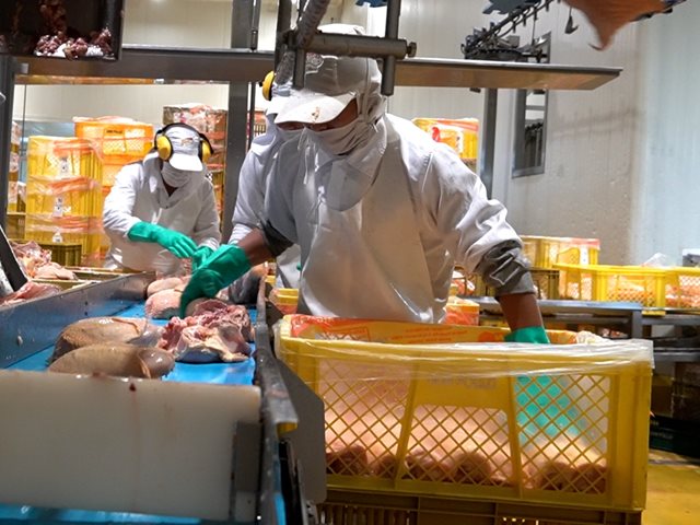 Colombia suspende temporalmente importación de productos avícolas desde  Brasil