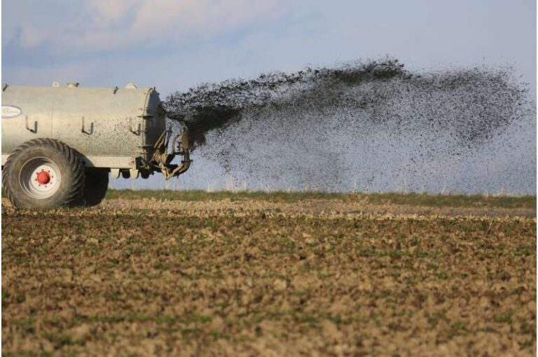 El Estiércol Humano: Fertilizante Valioso con Actitudes Divididas