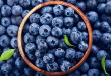 Resumen del mercado global del arándano