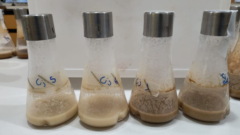 La investigación facilita y es económicamente viable la producción de biopesticida