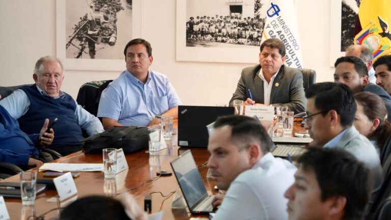 ECUADOR: Futuro del Sector Maicero se define hoy 4pm
