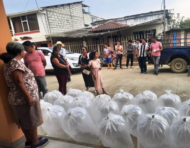 ECUADOR:  52.400 alevines de tilapia benefician a 86 productores de Puyango