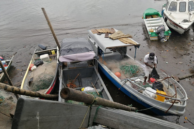COLOMBIA:  Pescadores tejen una red de medidas para afrontar efecto del cambio climático