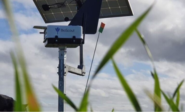 Se lanza en Australia un sistema de alerta temprana aerotransportada para enfermedades de los cereales
